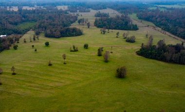 Campo Subdividido en venta en Villarrica - 49,2 hectáreas - Región de la Araucanía