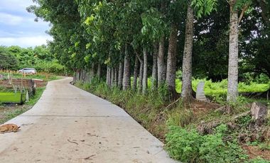 FOR SALE! 111,423 sqm / 11 Hectares Farm Lot at Angat, Bulacan