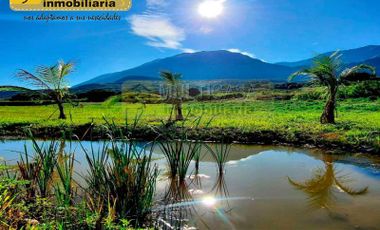 Se Vende Hermoso Terreno En Yunguilla Azuay Ecuador