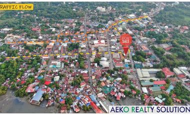 For Sale 609 Sqm Commercial Lot in Bogo City, Cebu