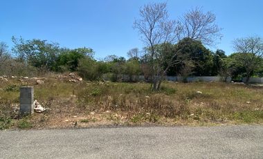 Terrenos en venta en Chicxulub pueblo, Yucatán, zona de alto crecimiento