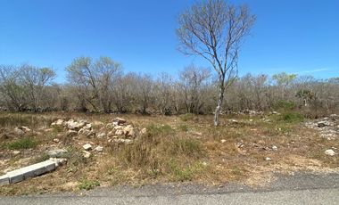 Terrenos en venta en Chicxulub pueblo, Yucatán, zona de alto crecimiento