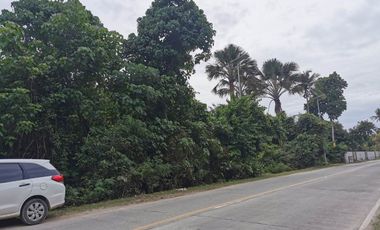 TITLED Commercial Lot for Sale located in Barangay Tawala, Panglao Island, Bohol