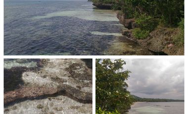 Beach Land for Sale in Panglao, Bohol