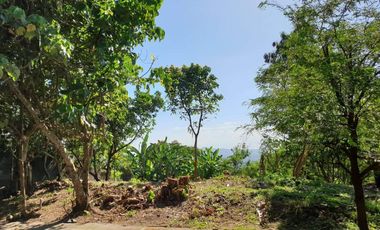 Ayala Greenfield Estate | Residential Lot For Sale - #4230