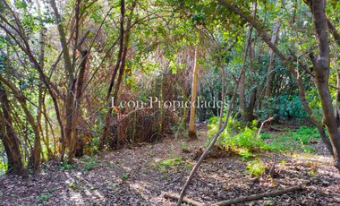 Se vende Parcela de 1ha con 2 casa en Monterrey, Curacaví