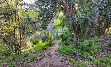 Se vende Parcela de 1ha con 2 casa en Monterrey, Curacaví