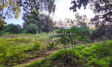 Se vende Parcela de 1ha con 2 casa en Monterrey, Curacaví