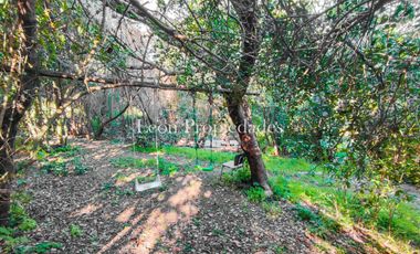 Se vende Parcela de 1ha con 2 casa en Monterrey, Curacaví