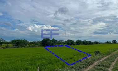 Land for sale 89 square wah, Bang Khun Si Canal, Bang Bua Thong, Sai Noi