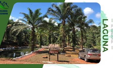 VENTA DE LOTE 88 EN LA QUITA VACACIONAL EL MANANTIAL, ENTRADA A PUERTO QUITO, PICHINCHA, ECUADOR