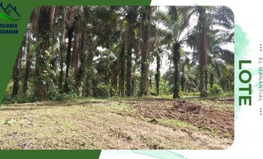 VENTA DE LOTE 88 EN LA QUITA VACACIONAL EL MANANTIAL, ENTRADA A PUERTO QUITO, PICHINCHA, ECUADOR