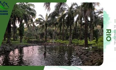 VENTA DE LOTE 88 EN LA QUITA VACACIONAL EL MANANTIAL, ENTRADA A PUERTO QUITO, PICHINCHA, ECUADOR