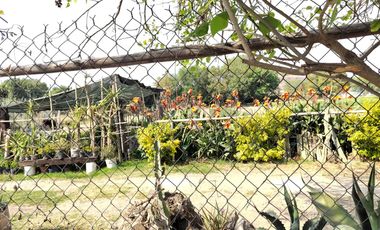 Terreno en venta en San Pedro Cholula Puebla Villas Arqueológicas