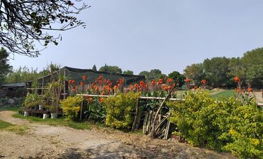 Terreno en venta en San Pedro Cholula Puebla Villas Arqueológicas