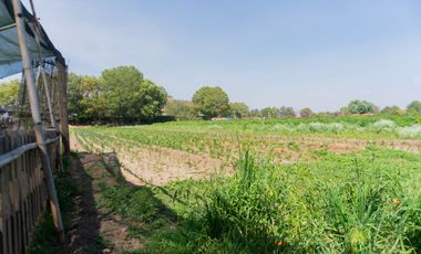 Terreno en venta en San Pedro Cholula Puebla Villas Arqueológicas