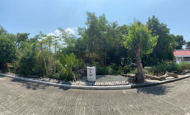 MC - FOR SALE: 400 sqm Lot in Doña Rosario Heights Subdivision, Muntinlupa