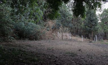 Vendo terreno en pequeña privada ubicado en el Barrio de San Pedro; Tepoztlán, Morelos.