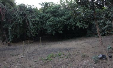 Vendo terreno en pequeña privada ubicado en el Barrio de San Pedro; Tepoztlán, Morelos.