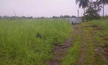 LOT FOR SALE IN SIBULAN ID 14874