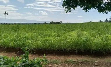 LOT FOR SALE IN SIBULAN ID 14874
