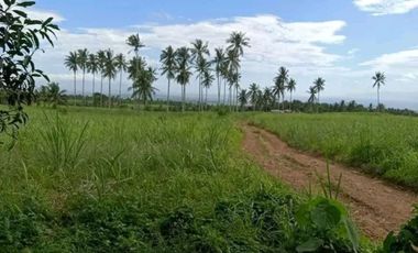 LOT FOR SALE IN SIBULAN ID 14874