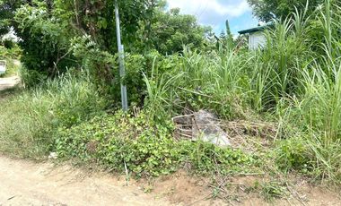 Vacant Agricultural Corner lot in Brgy. Hoyo Silang Cavite