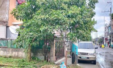 Viente Reales Valenzuela City Commercial lot