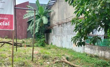 Viente Reales Valenzuela City Commercial lot
