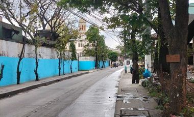 Viente Reales Valenzuela City Commercial lot