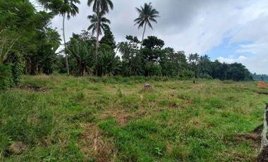 FOR SALE LOT ONLY 100 SQM IN DALIAON TORIL
