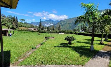 Pallatanga, Venta de Excelente Finca con Casa de Campo y Variada Plantación 1 Ha