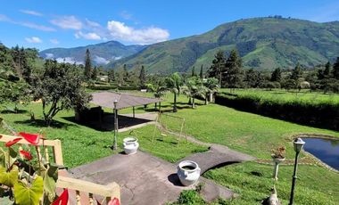 Pallatanga, Venta de Excelente Finca con Casa de Campo y Variada Plantación 1 Ha