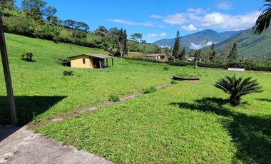 Pallatanga, Venta de Excelente Finca con Casa de Campo y Variada Plantación 1 Ha