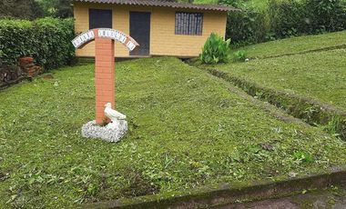 Pallatanga, Venta de Excelente Finca con Casa de Campo y Variada Plantación 1 Ha