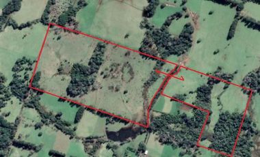 Pequeño Campo Refugiado en Fresia