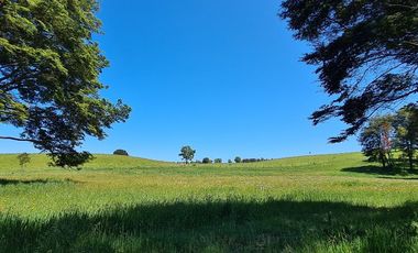 Pequeño Campo Refugiado en Fresia