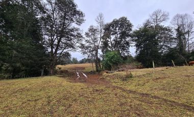 Pequeño Campo Refugiado en Fresia