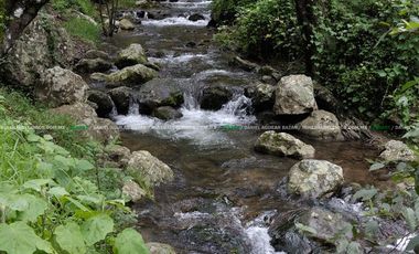 TERRENO EN SAN ANTONIO EL LLANO, MINERAL DEL CHICO CON VISTAS A LAS MONTAÑAS $95 EL m2
