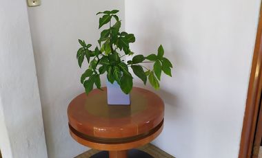 Casa sola de 4 recamaras con alberca  en Burgos Cuernavaca, Temixco, Mor.