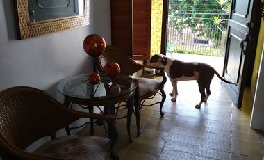 Casa sola de 4 recamaras con alberca  en Burgos Cuernavaca, Temixco, Mor.