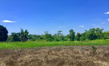 Farm Lot for Sale in Mambatangan Manolo Fortich Bukidnon