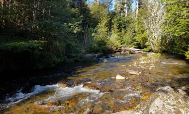 CAMPO 75 hectáreas con Río Y Laguna Campo Orilla Camino