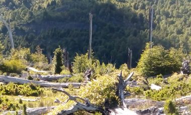 CAMPO 75 hectáreas con Río Y Laguna Campo Orilla Camino