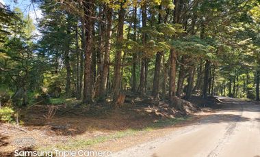 CAMPO 75 hectáreas con Río Y Laguna Campo Orilla Camino