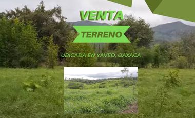 VENTA DE TERRENO EN YAVEO, OAXACA