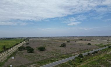 20 hectáreas a filo de pista Carretera Chiclayo - Ferreñafe