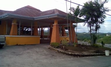 223 sqm Residential lot for sale in El Monte Verde Consolacion Cebu