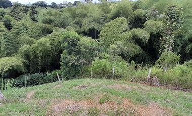 Lote Sector Alcala Valle