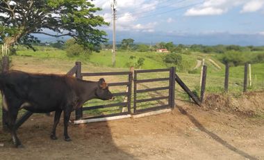 Lote Sector Alcala Valle